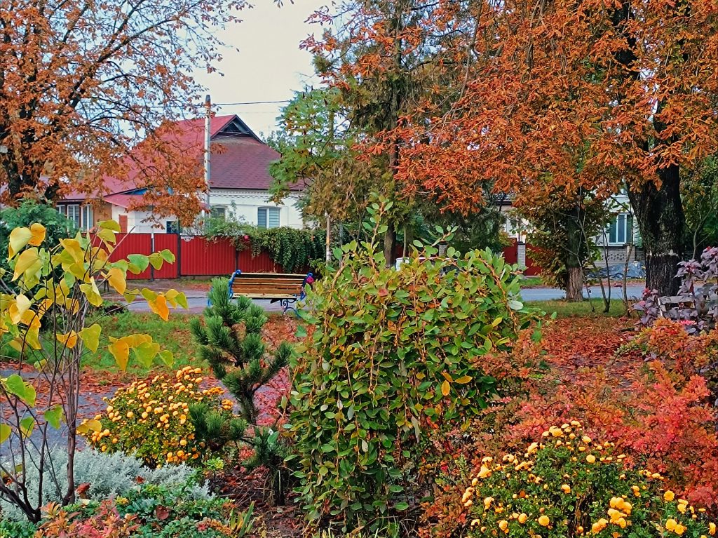 Село Витачів