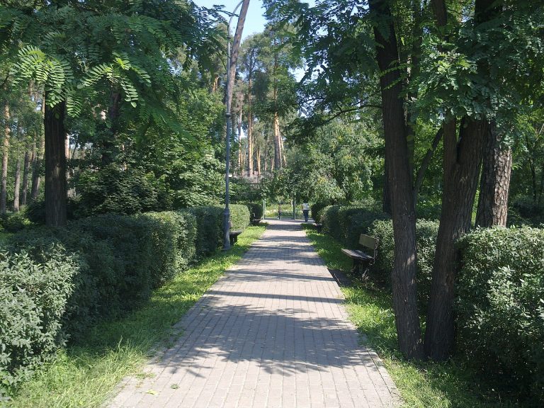 Парк партизанської слави