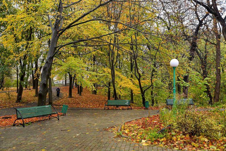 Ботанічний сад Фоміна