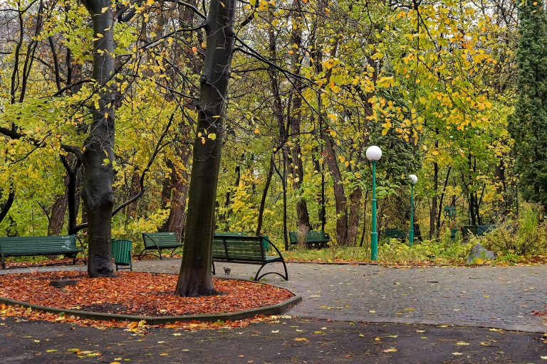 Ботанічний сад Фоміна