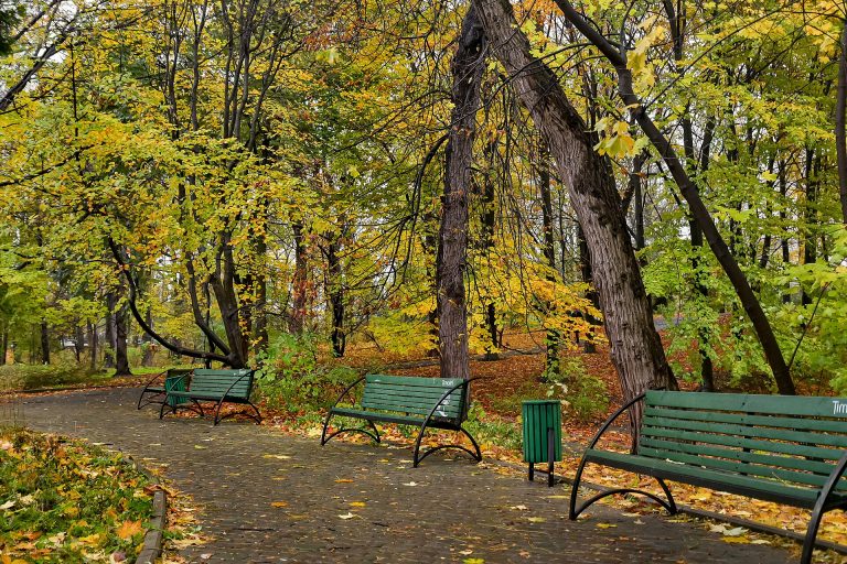 Ботанічний сад Фоміна