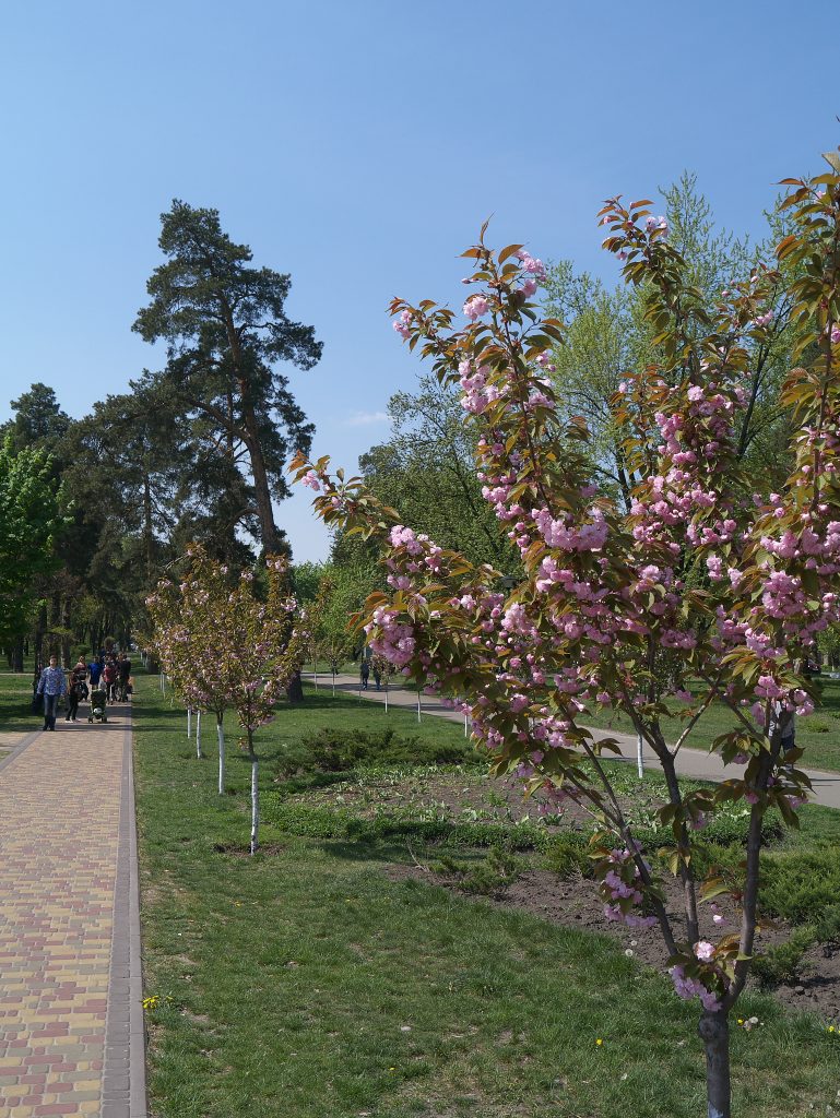 Парк Кіото