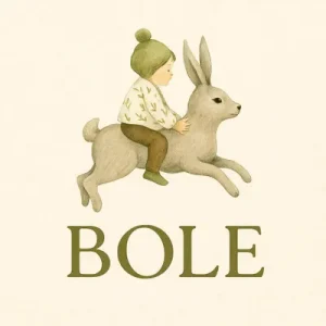 Логотип Bole