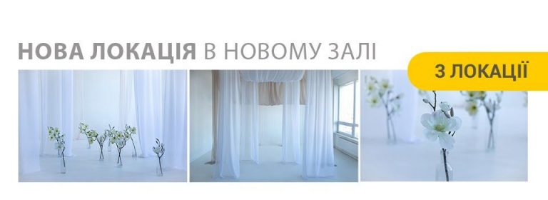 Жовтий кролик