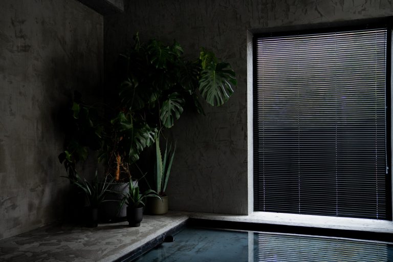 LOFT31