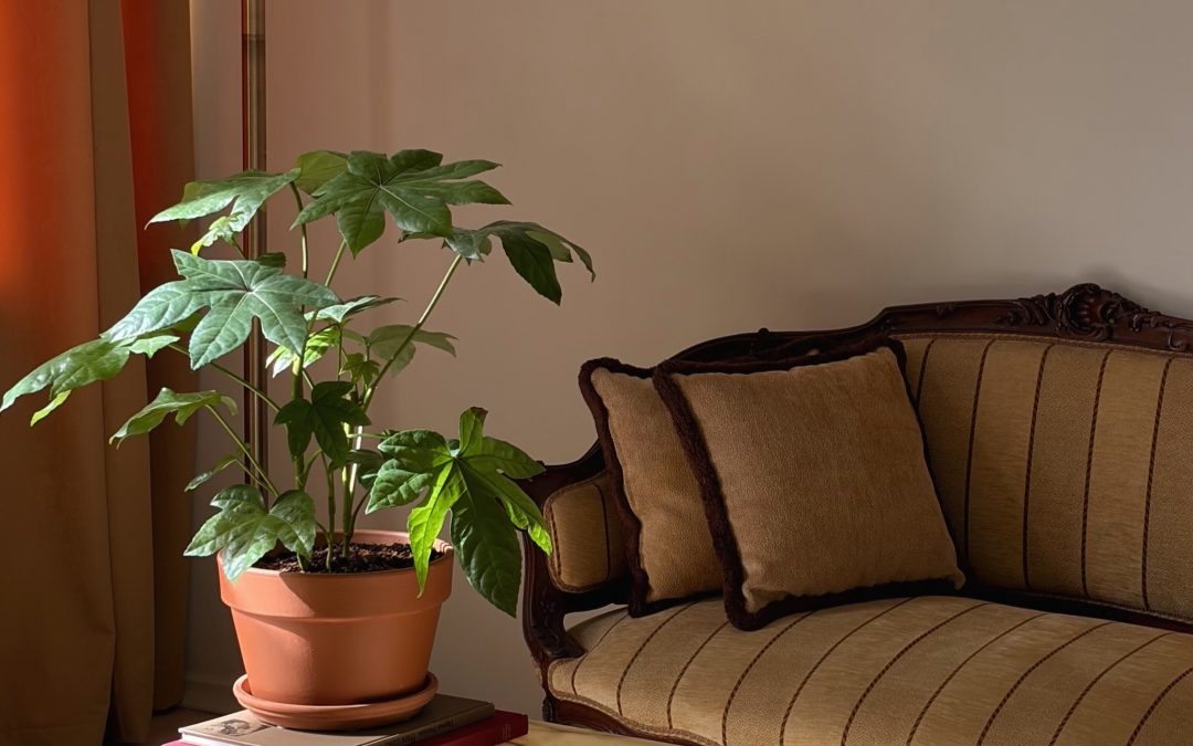 casa-mia-studio-1.jpg